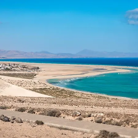 Home2book Aloha Palm Apartman