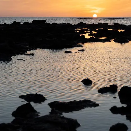 Home2book Aloha Palm