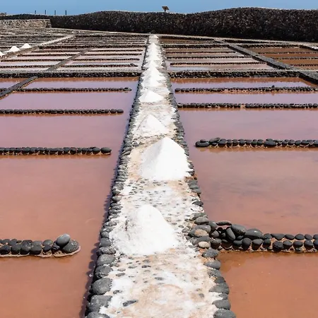 Home2book Aloha Palm Appartamento