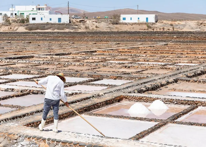 Home2book Aloha Palm Apartament