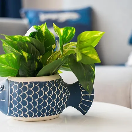 Διαμέρισμα Home2book Aloha Palm *