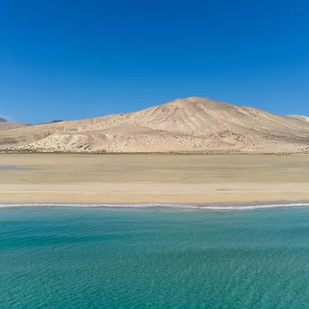 Home2book Aloha Palm