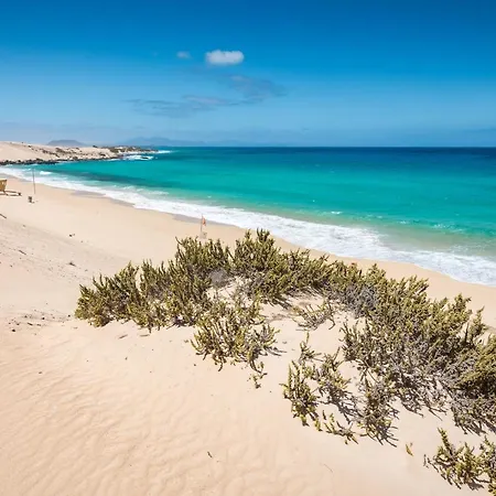 Διαμέρισμα Home2book Aloha Palm