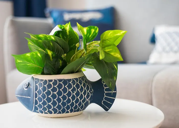 Apartmán Home2book Aloha Palm *