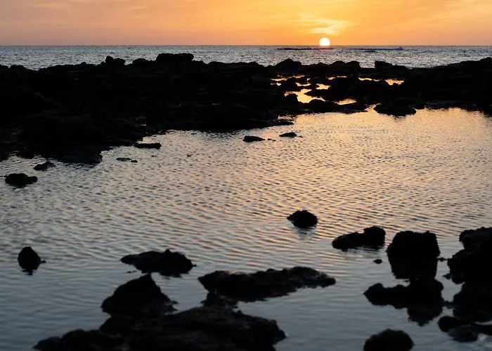 Home2book Aloha Palm