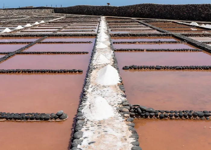 Home2book Aloha Palm Apartmán