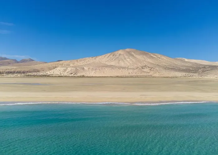 Home2book Aloha Palm