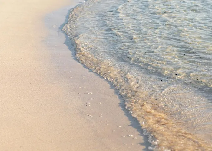 Home2book Aloha Palm