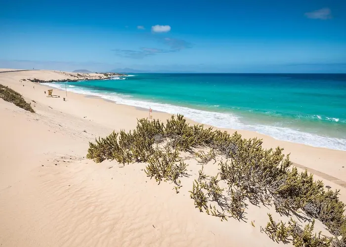 Apartmán Home2book Aloha Palm