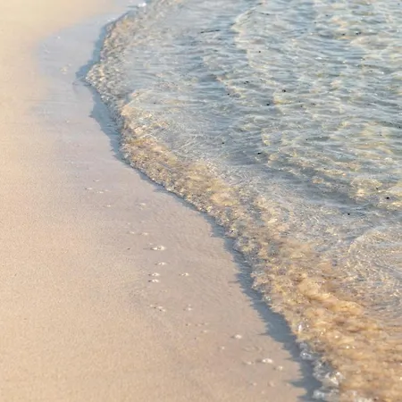 Home2book Aloha Palm